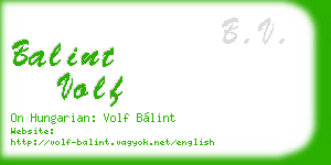 balint volf business card