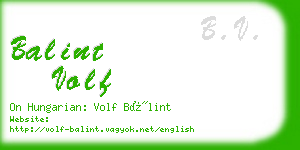 balint volf business card